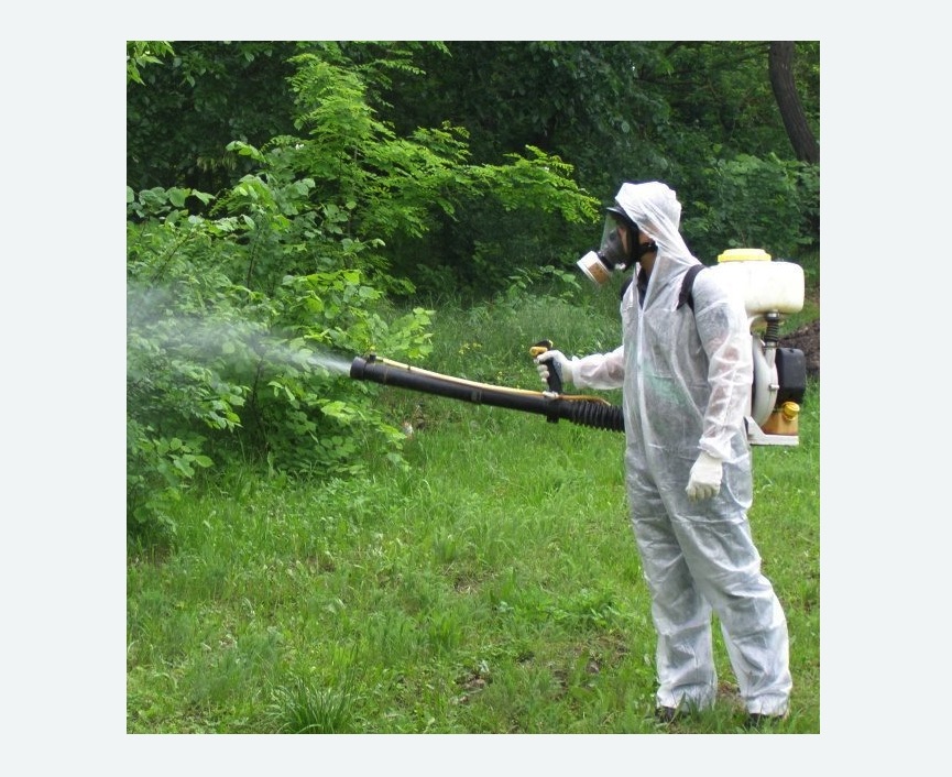 обработка дачи от клещей обработка территории от клещей в Ачинске