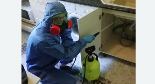 Уничтожение муравьев в квартире. Ачинск