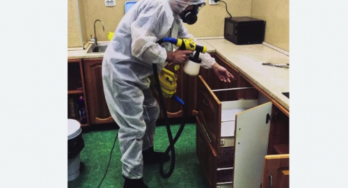 Дезинсекция квартиры. Ачинск