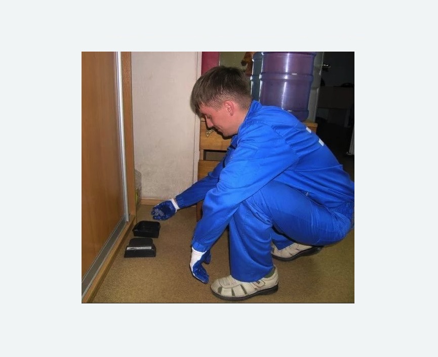 Дератизация крыс в Ачинске