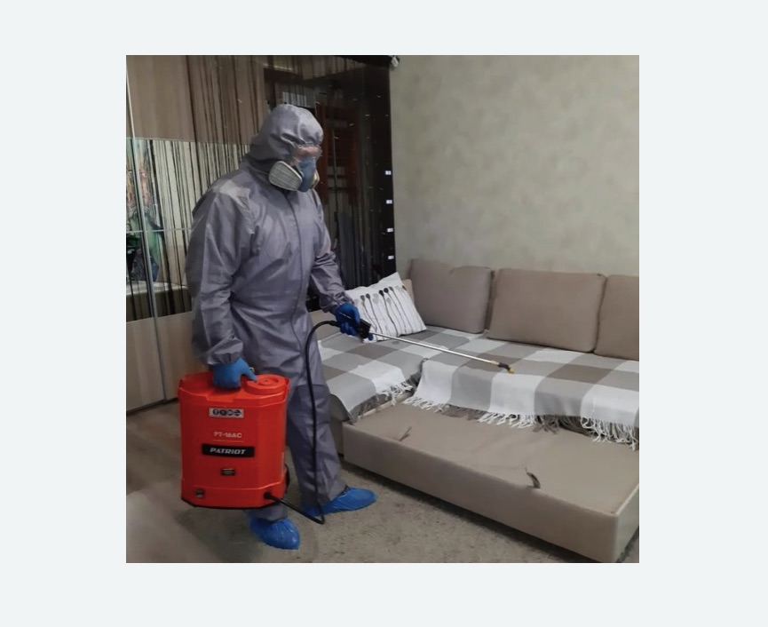 Обработка квартиры от блох в Ачинске Обработка квартиры от блох