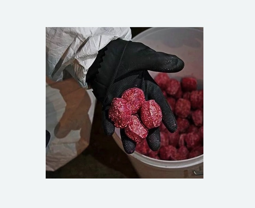 Обработка от крыс в Ачинске