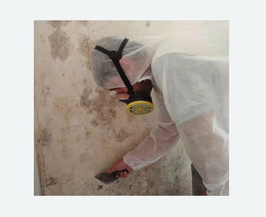 Обработка стен от плесени в Ачинске
