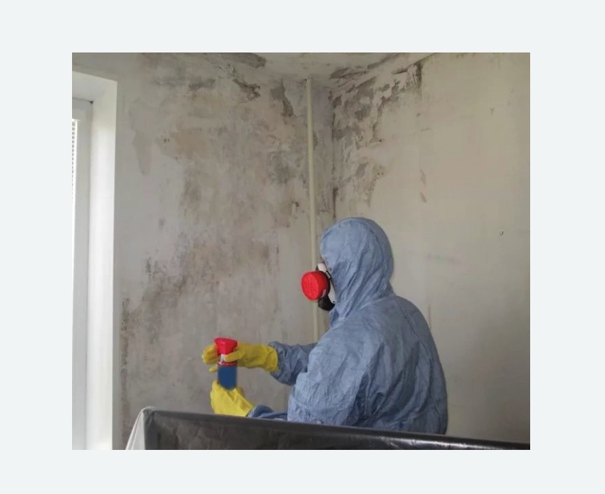 Удаление плесени в квартире в Ачинске