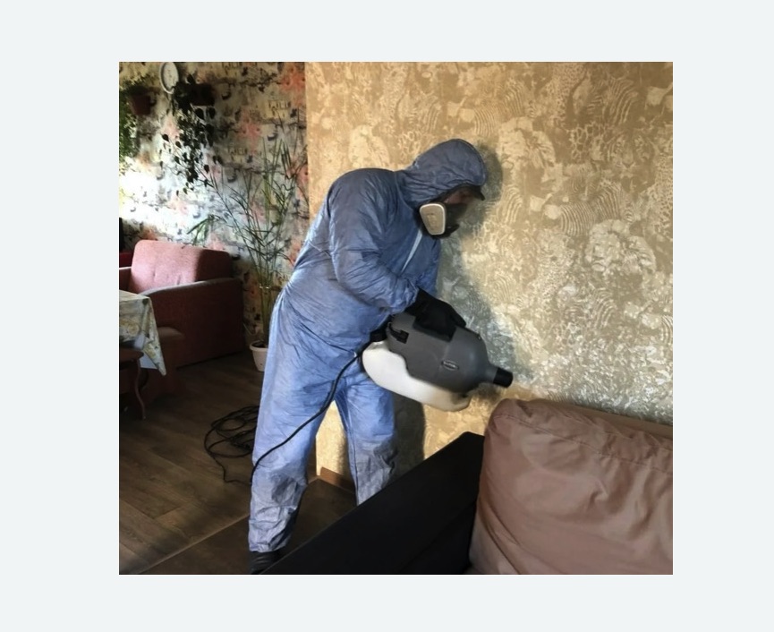 Уничтожение блох в квартире. Ачинск Уничтожение блох в квартире