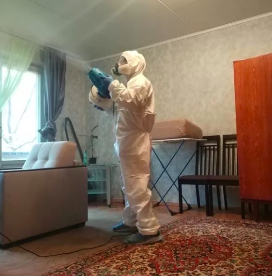 дезинсекция квартиры в Ачинске