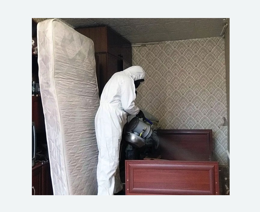 дезинфекция от клопов дезинфекция от клопов в Ачинске