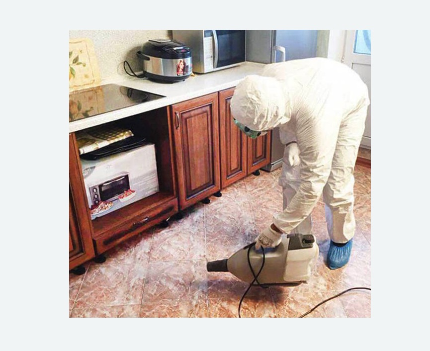 обработка квартиры от клопов в Ачинске обработка квартиры от клопов