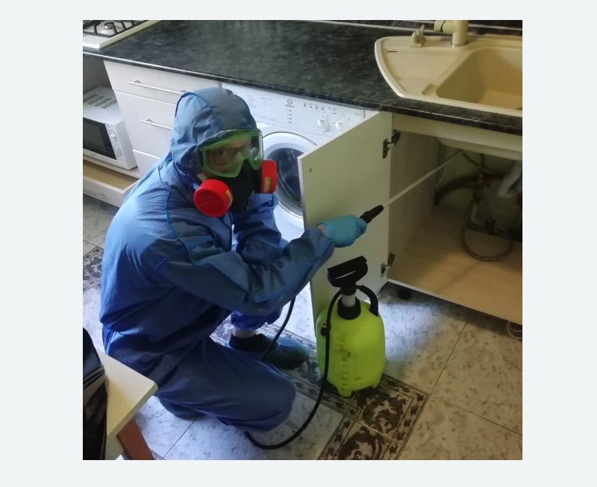 обработка от муравьев в квартире в Ачинске