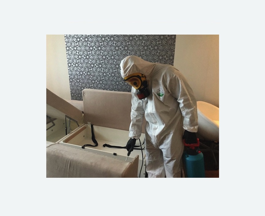 уничтожение клопов в квартире уничтожение клопов в квартире в Ачинске