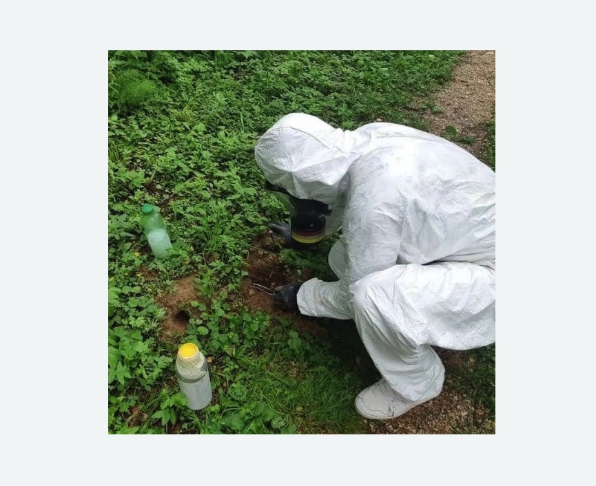 уничтожение кротов на участке уничтожение кротов на участке в Ачинске