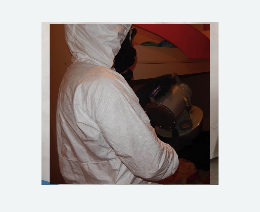 Дезинфекция от муравьев в Ачинске