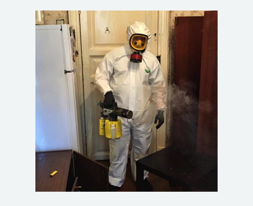 уничтожение муравьев в квартире в Ачинске